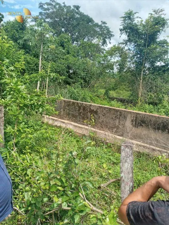 Fazenda à venda de 503 ha em Santo Antônio do Leverger, MT, Brasil