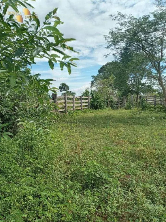 Fazenda à venda de 503 ha em Santo Antônio do Leverger, MT, Brasil