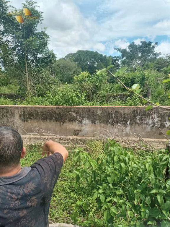 Fazenda à venda de 503 ha em Santo Antônio do Leverger, MT, Brasil