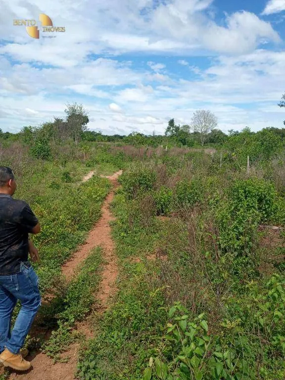 Fazenda à venda de 503 ha em Santo Antônio do Leverger, MT, Brasil