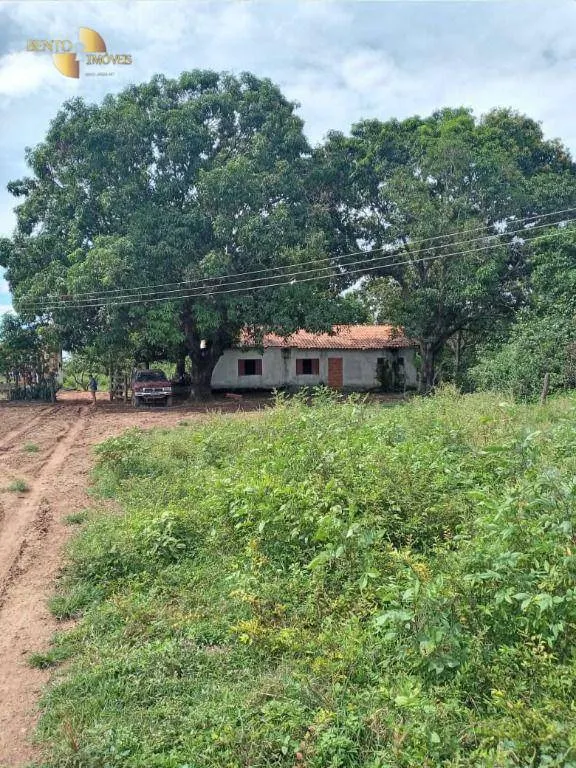 Fazenda à venda de 503 ha em Santo Antônio do Leverger, MT, Brasil
