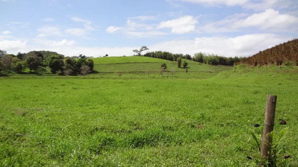 Fazenda à venda de 276 ha em Jacupiranga, SP, Brasil