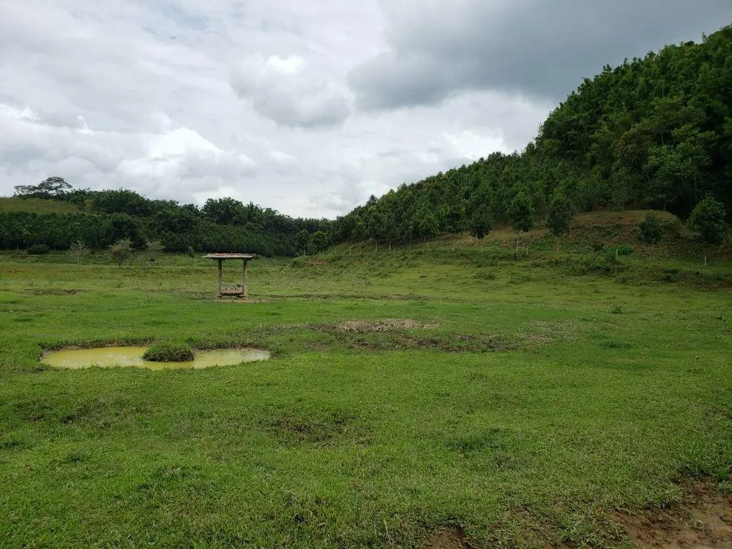Fazenda à venda de 276 ha em Jacupiranga, SP, Brasil