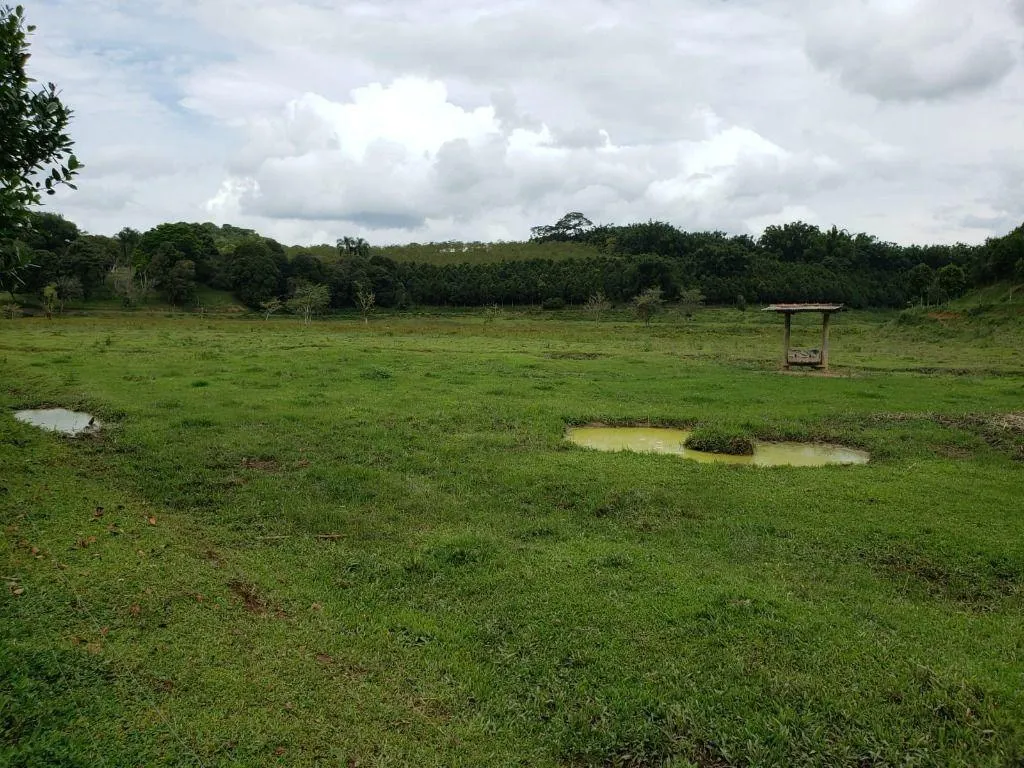 Fazenda à venda de 276 ha em Jacupiranga, SP, Brasil