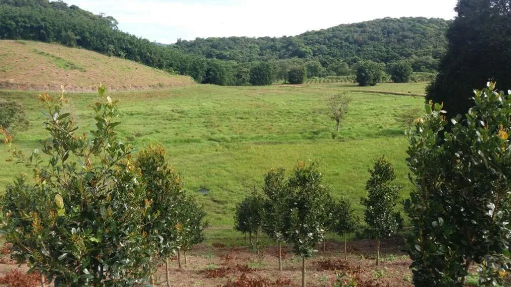 Fazenda à venda de 276 ha em Jacupiranga, SP, Brasil