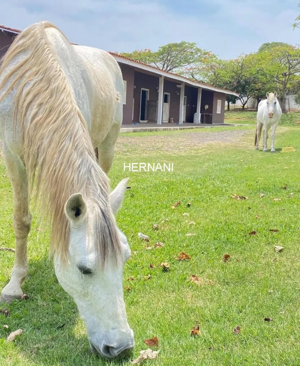 Small farm for sale of 25 acres in Itu, SP, Brazil