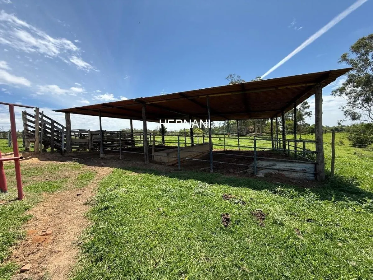 Small farm for sale of 25 acres in Itu, SP, Brazil