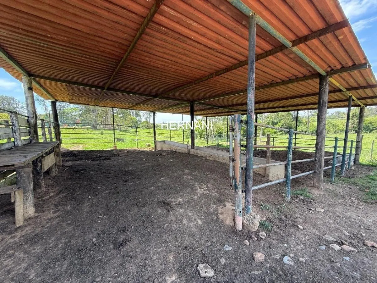 Small farm for sale of 25 acres in Itu, SP, Brazil