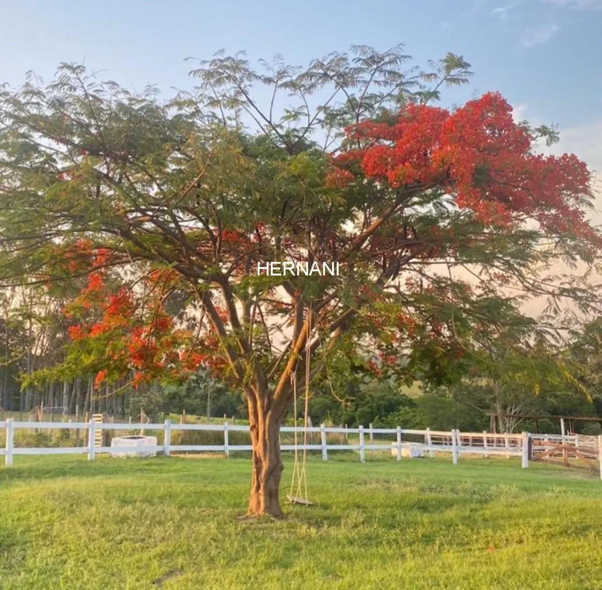 Small farm for sale of 25 acres in Itu, SP, Brazil