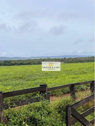 Fazenda à venda e para Arrendar de 1.034 ha em Canarana, MT, Brasil