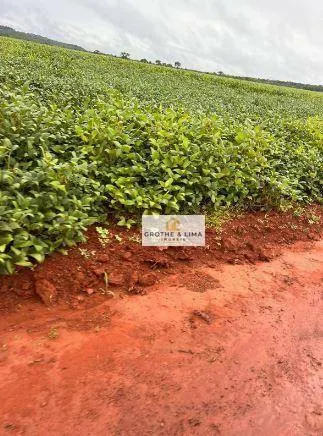 Fazenda à venda e para Arrendar de 1.034 ha em Canarana, MT, Brasil