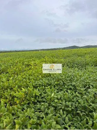 Fazenda à venda e para Arrendar de 1.034 ha em Canarana, MT, Brasil