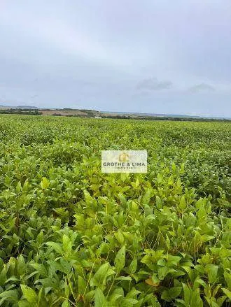Fazenda à venda e para Arrendar de 1.034 ha em Canarana, MT, Brasil