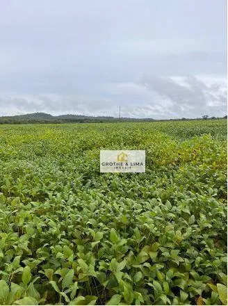 Fazenda à venda e para Arrendar de 1.034 ha em Canarana, MT, Brasil