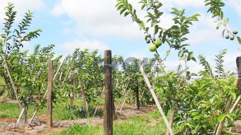 Country home for sale of 7 acres in Valinhos, SP, Brazil