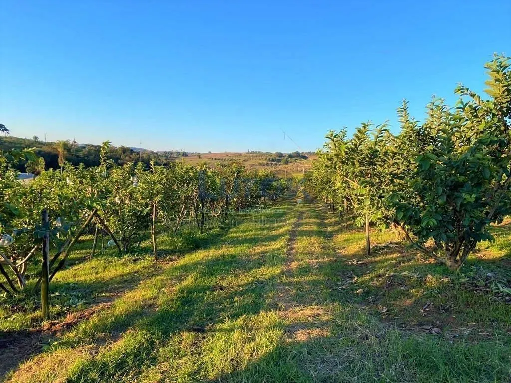 Country home for sale of 7 acres in Valinhos, SP, Brazil