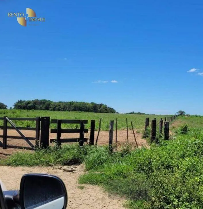 Fazenda à venda de 534 ha em Várzea Grande, MT, Brasil