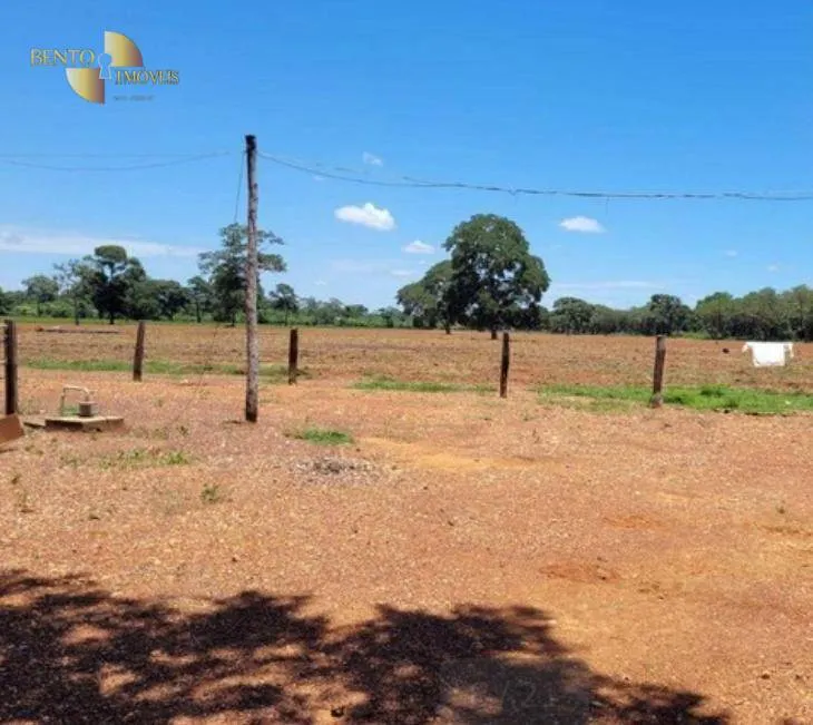 Fazenda à venda de 534 ha em Várzea Grande, MT, Brasil