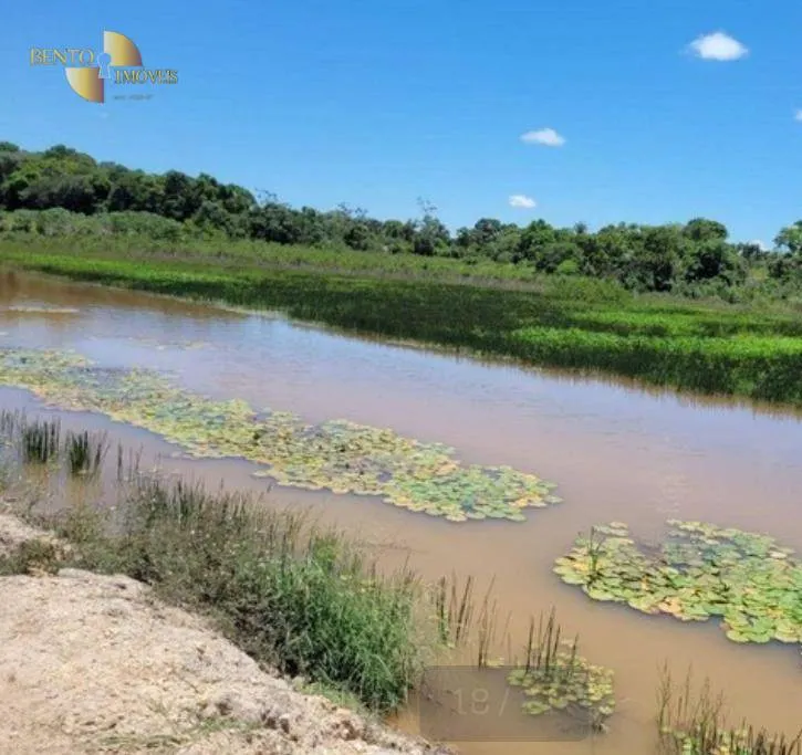 Fazenda à venda de 534 ha em Várzea Grande, MT, Brasil