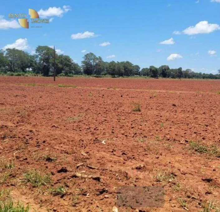 Fazenda à venda de 534 ha em Várzea Grande, MT, Brasil
