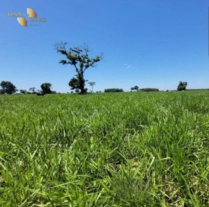 Fazenda à venda de 534 ha em Várzea Grande, MT, Brasil