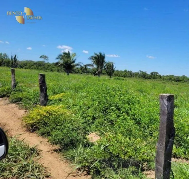 Fazenda à venda de 534 ha em Várzea Grande, MT, Brasil