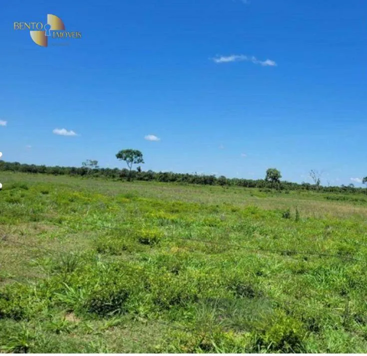 Fazenda à venda de 534 ha em Várzea Grande, MT, Brasil