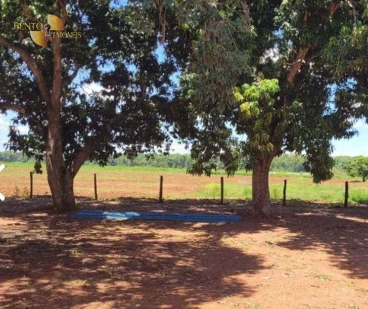 Fazenda à venda de 534 ha em Várzea Grande, MT, Brasil
