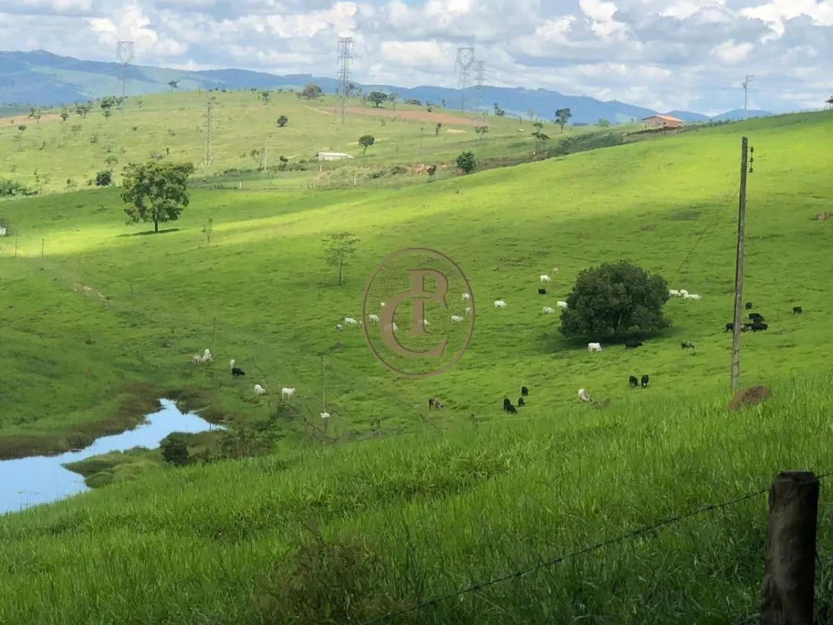 Fazenda à venda de 6.000 ha em Cachoeira Paulista, SP, Brasil