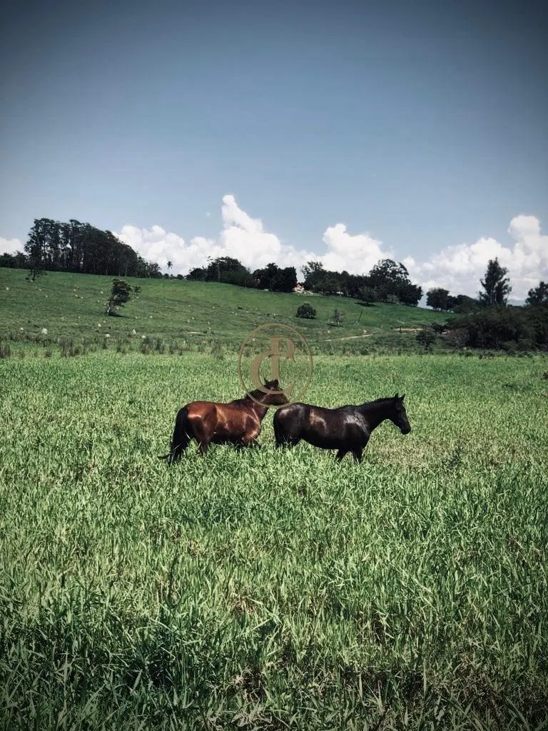 Fazenda à venda de 6.000 ha em Cachoeira Paulista, SP, Brasil
