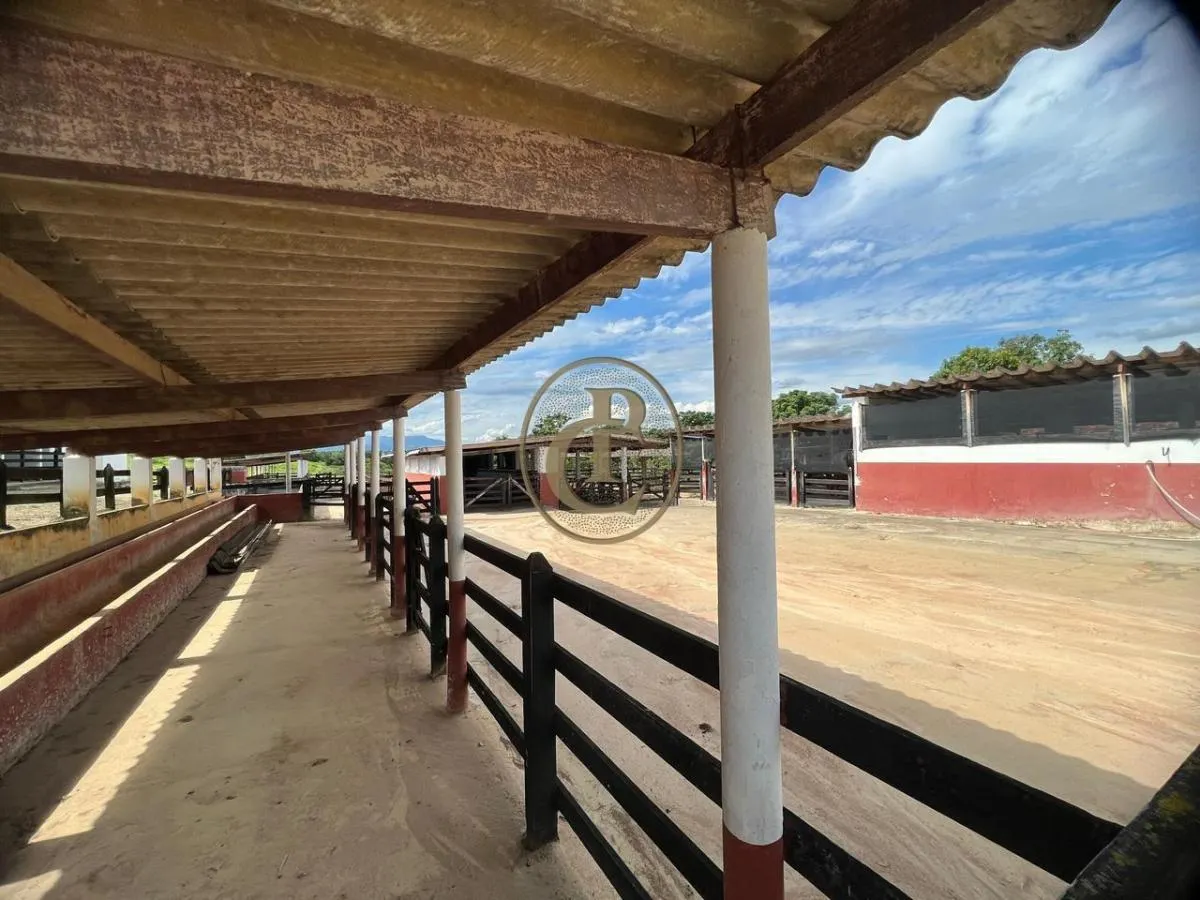 Fazenda à venda de 6.000 ha em Cachoeira Paulista, SP, Brasil
