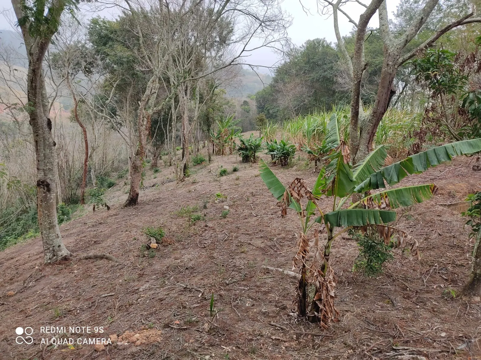 Sítio à venda de 3 ha em Caçapava, SP, Brasil