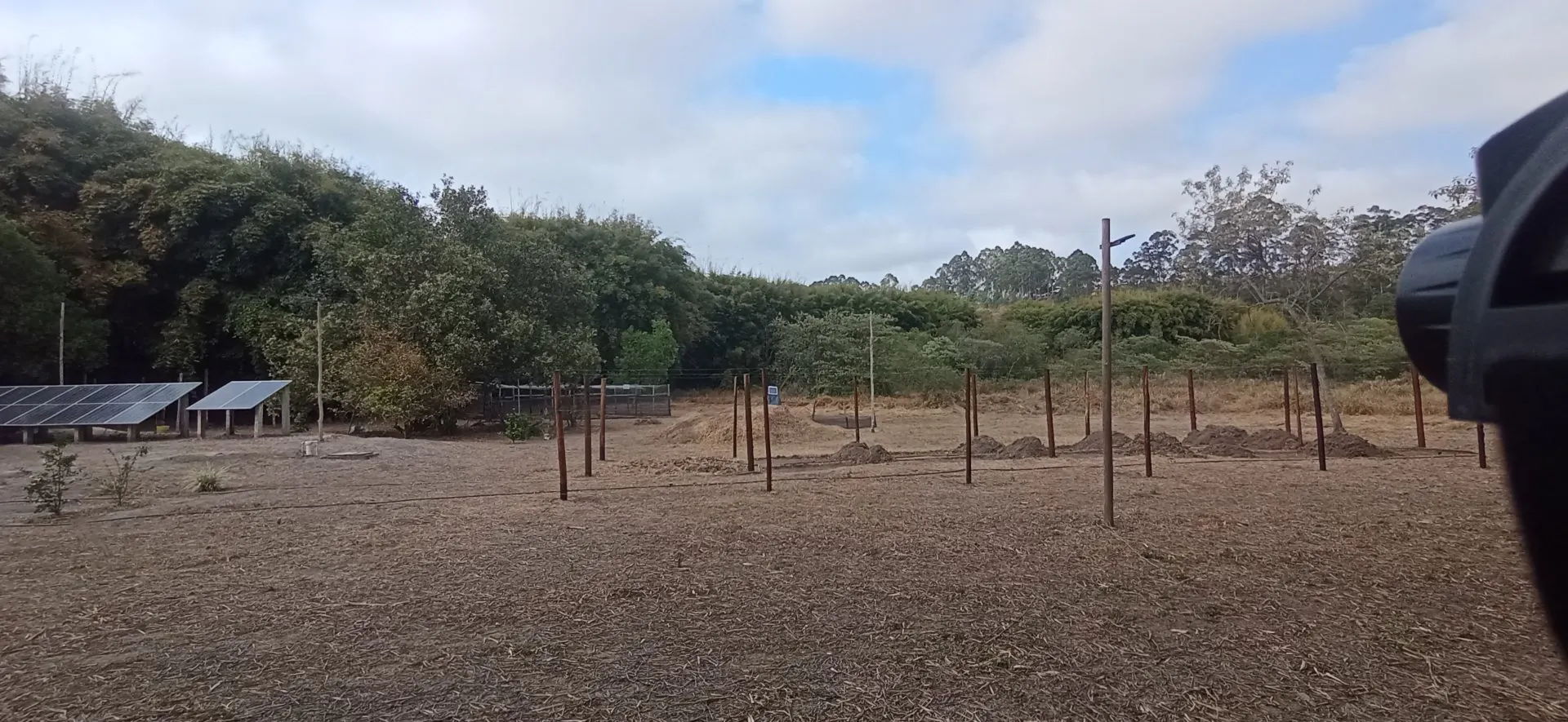 Small farm for sale of 6 acres in Desterro de Entre Rios, MG, Brazil