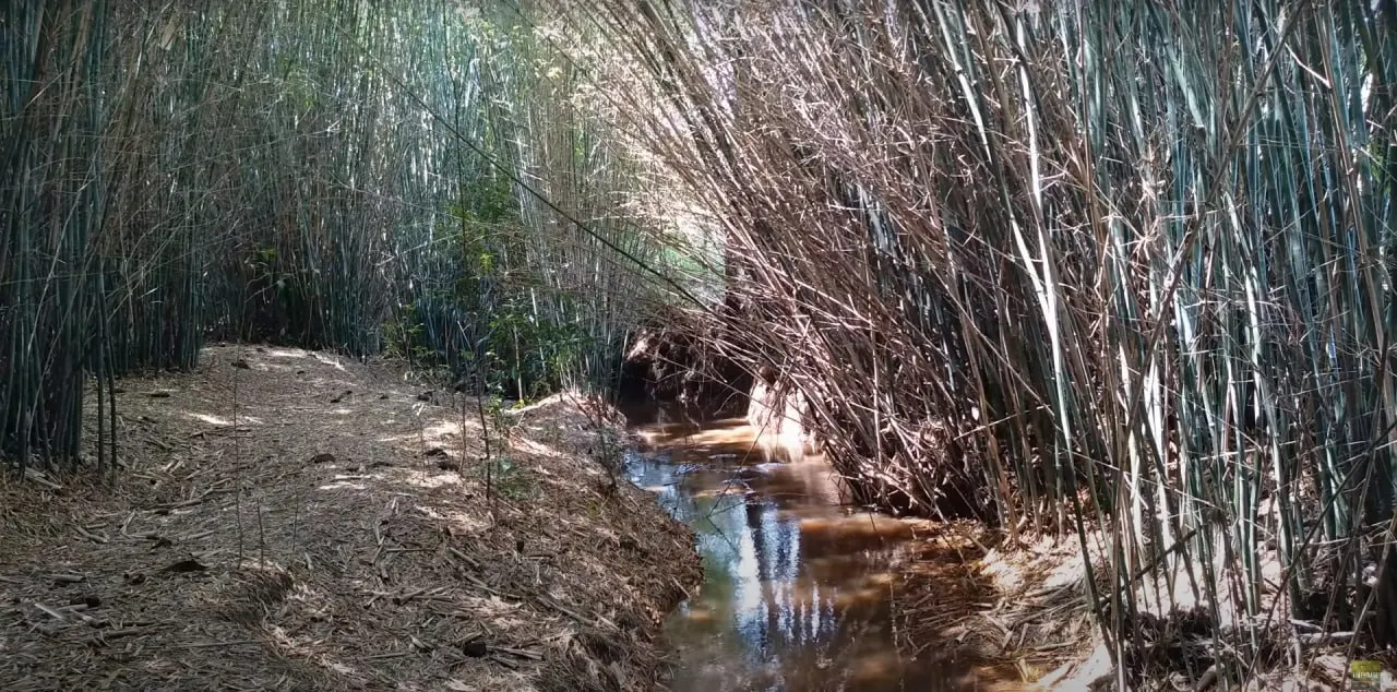 Small farm for sale of 6 acres in Desterro de Entre Rios, MG, Brazil