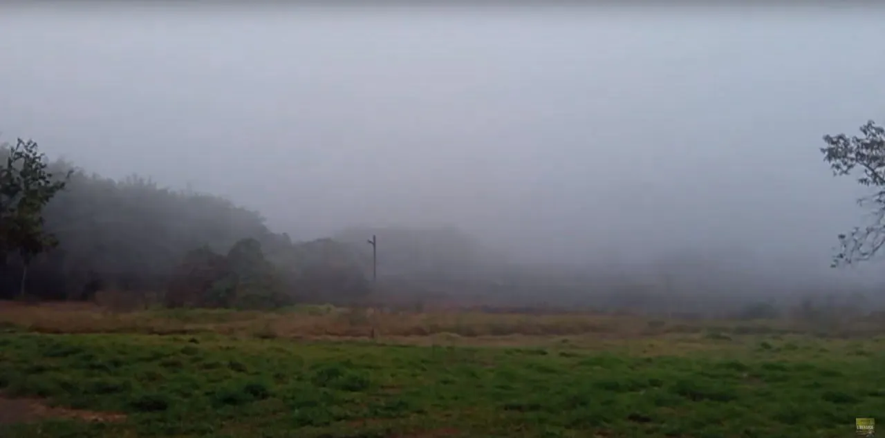 Small farm for sale of 6 acres in Desterro de Entre Rios, MG, Brazil