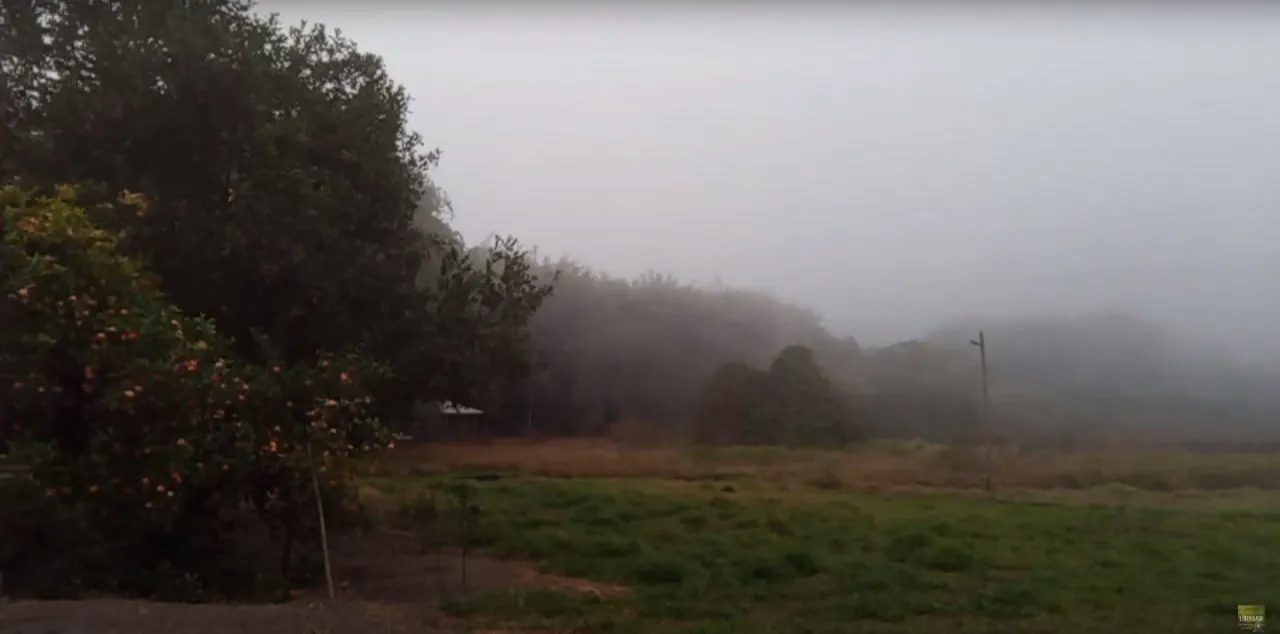 Small farm for sale of 6 acres in Desterro de Entre Rios, MG, Brazil