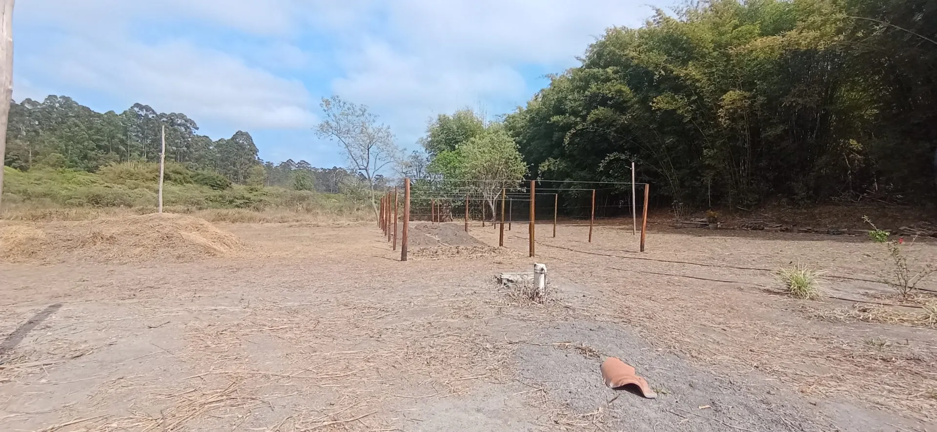 Small farm for sale of 6 acres in Desterro de Entre Rios, MG, Brazil