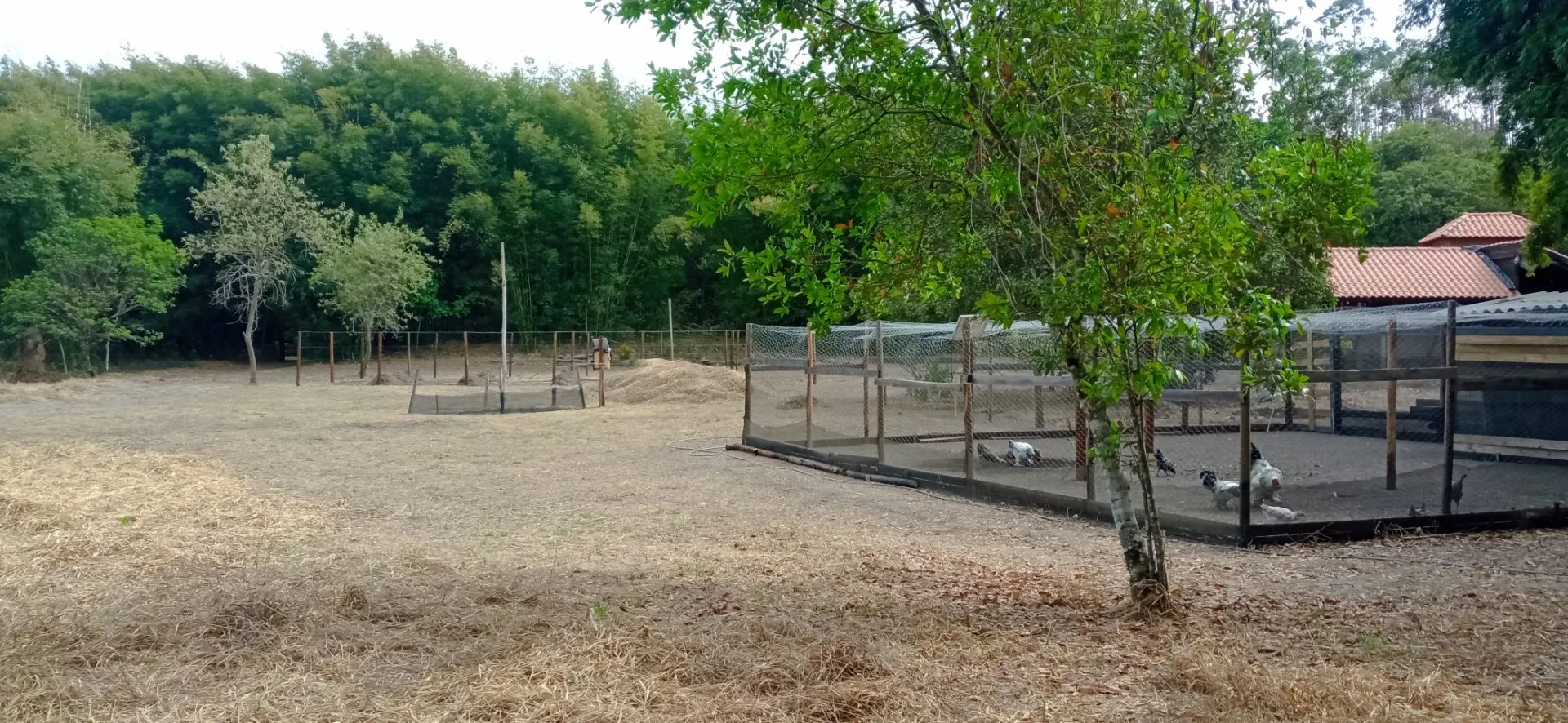 Small farm for sale of 6 acres in Desterro de Entre Rios, MG, Brazil
