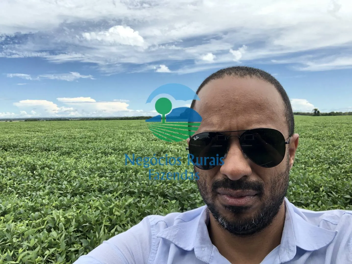 Fazenda à venda e para Arrendar de 435 ha em Novo Planalto, GO, Brasil