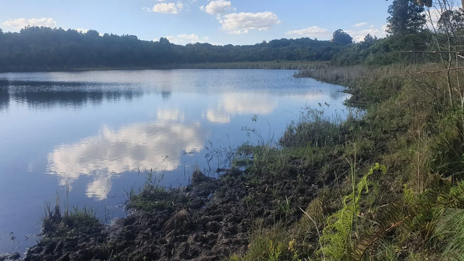 Fazenda à venda de 247 ha em Botucatu, SP, Brasil