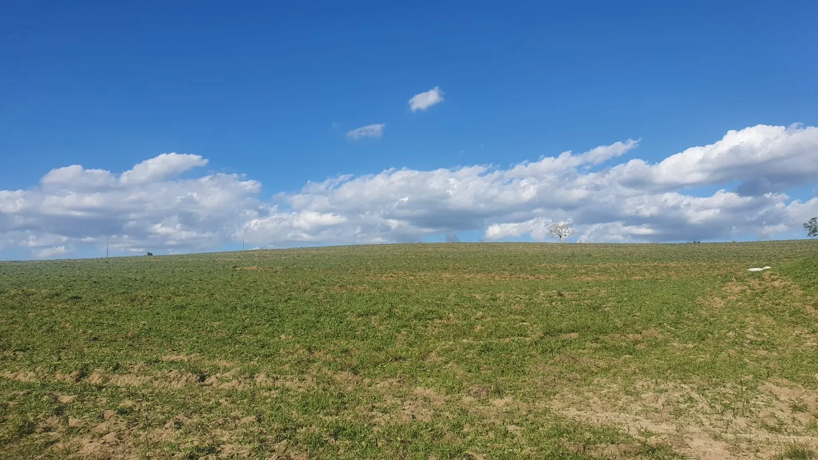 Fazenda à venda de 247 ha em Botucatu, SP, Brasil