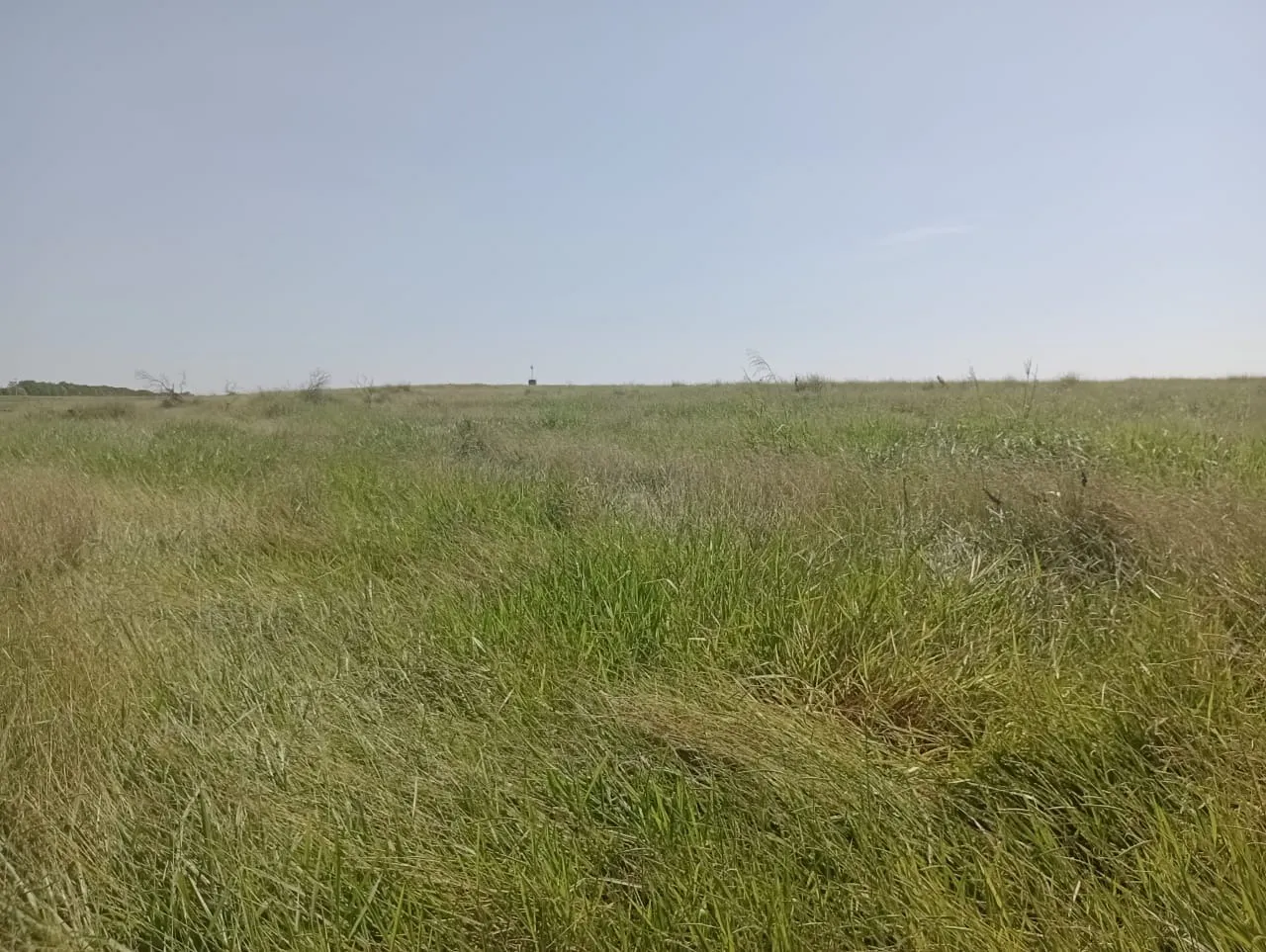 Fazenda à venda de 247 ha em Botucatu, SP, Brasil