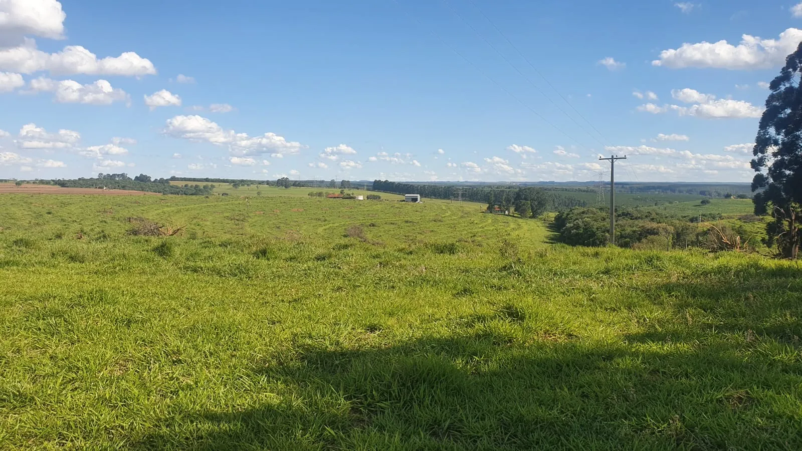 Fazenda à venda de 247 ha em Botucatu, SP, Brasil