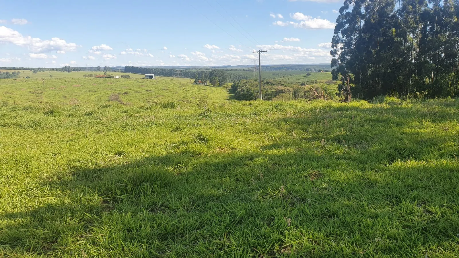 Fazenda à venda de 247 ha em Botucatu, SP, Brasil