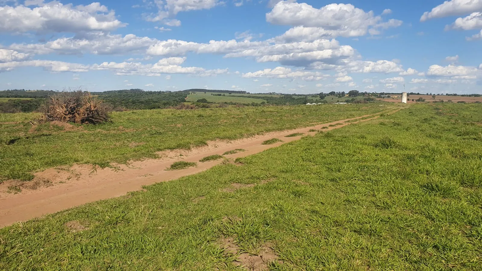 Fazenda à venda de 247 ha em Botucatu, SP, Brasil