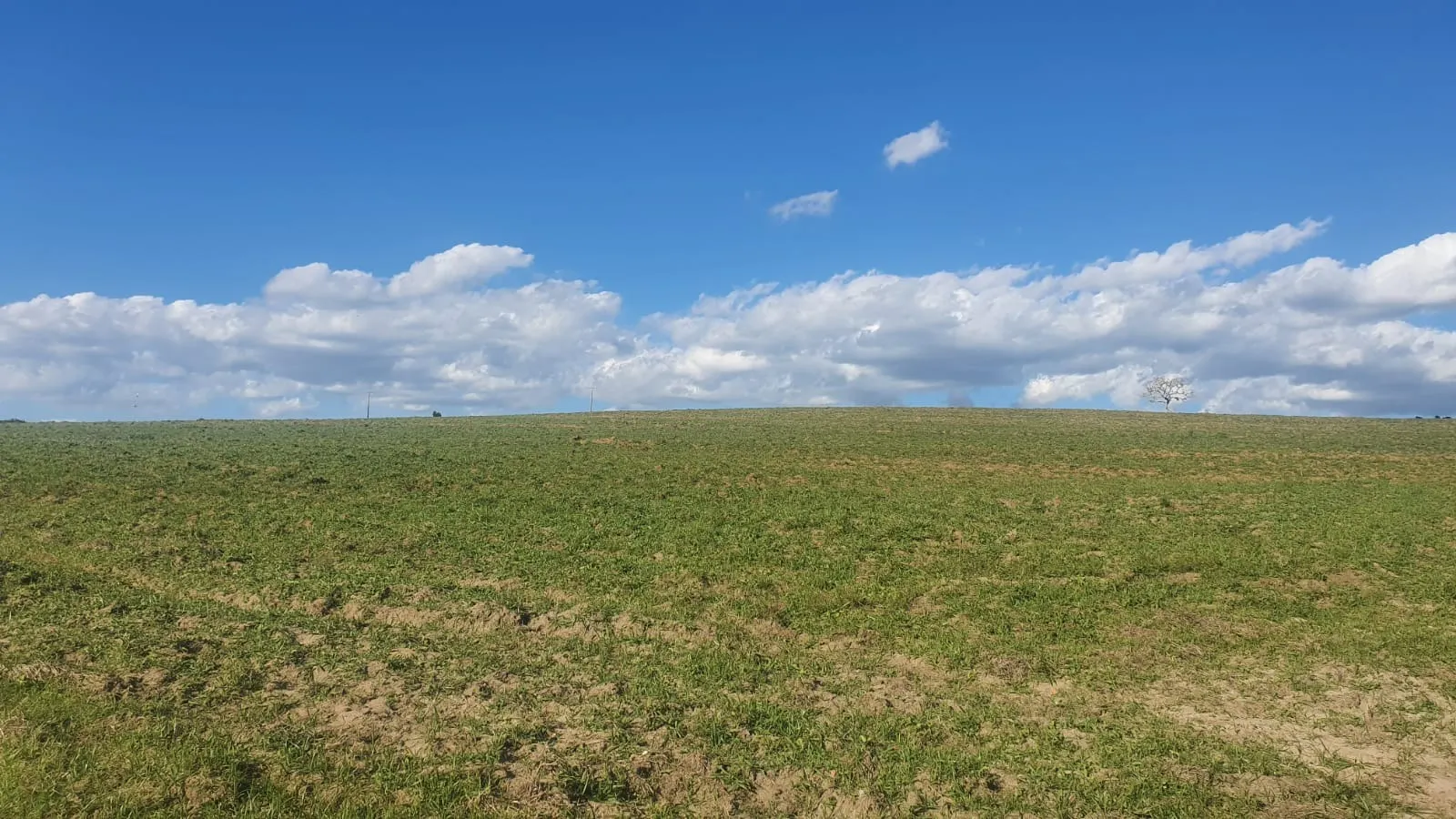 Fazenda à venda de 247 ha em Botucatu, SP, Brasil