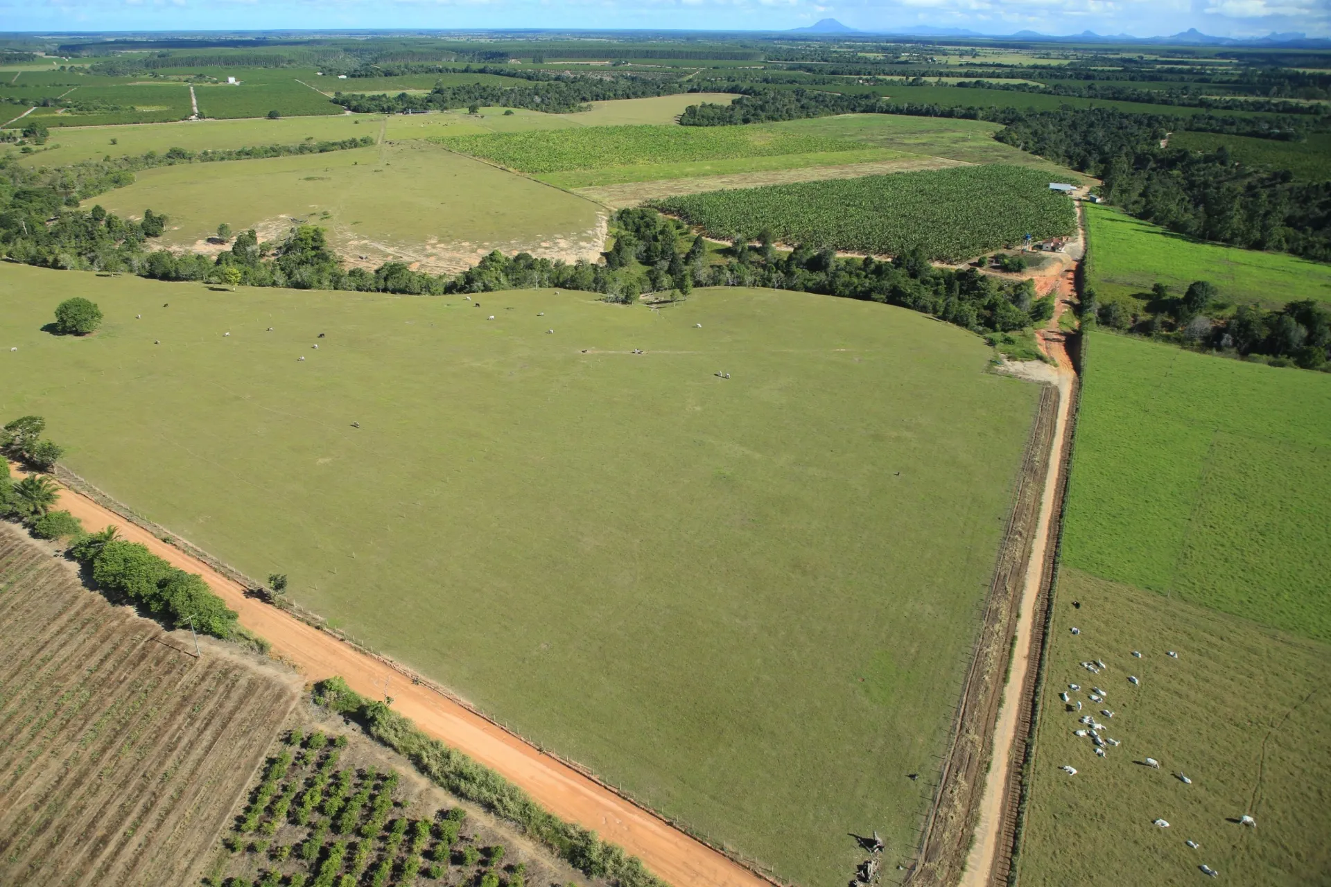 Farm for sale of 642 acres in Itabela, BA, Brazil