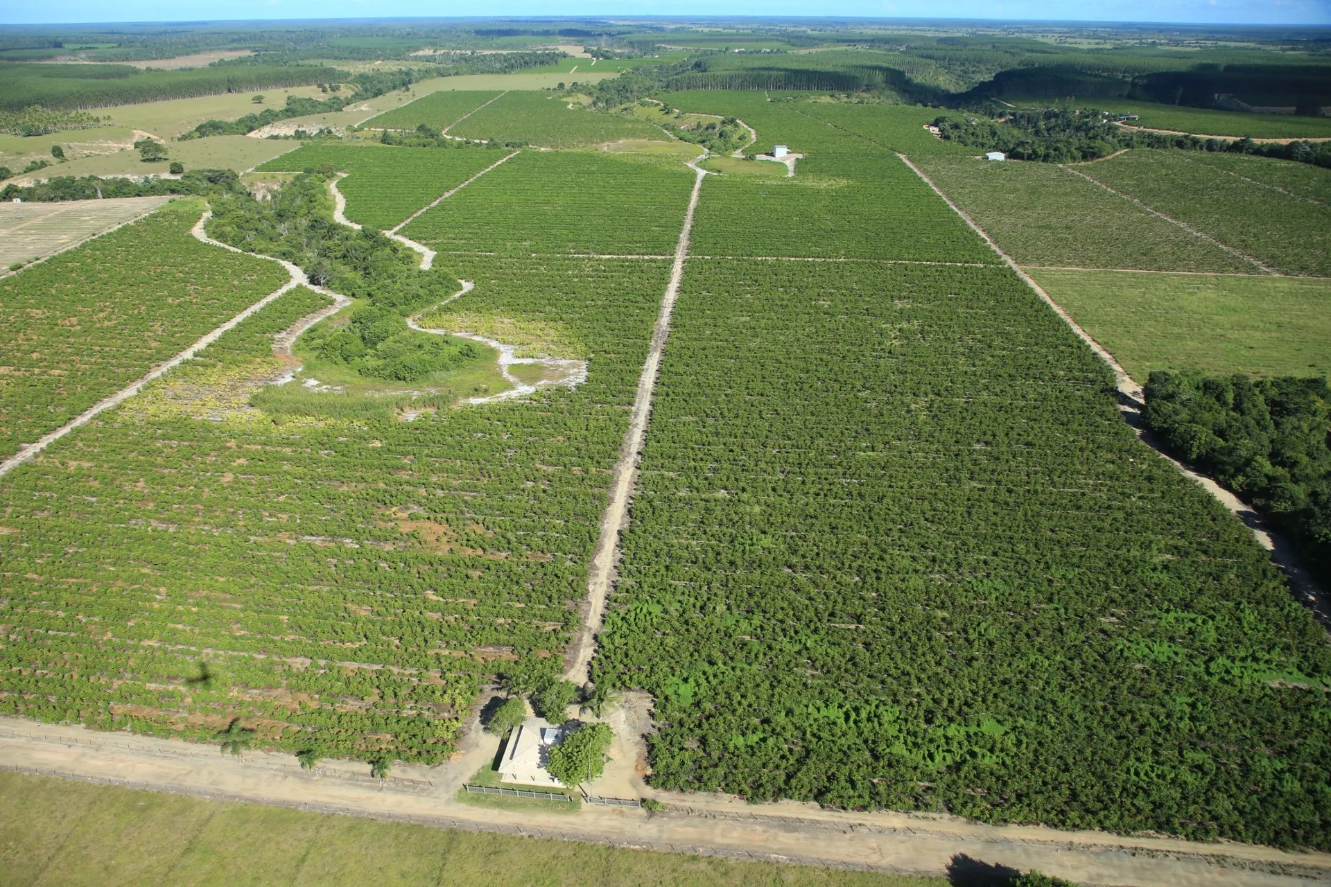 Farm for sale of 642 acres in Itabela, BA, Brazil