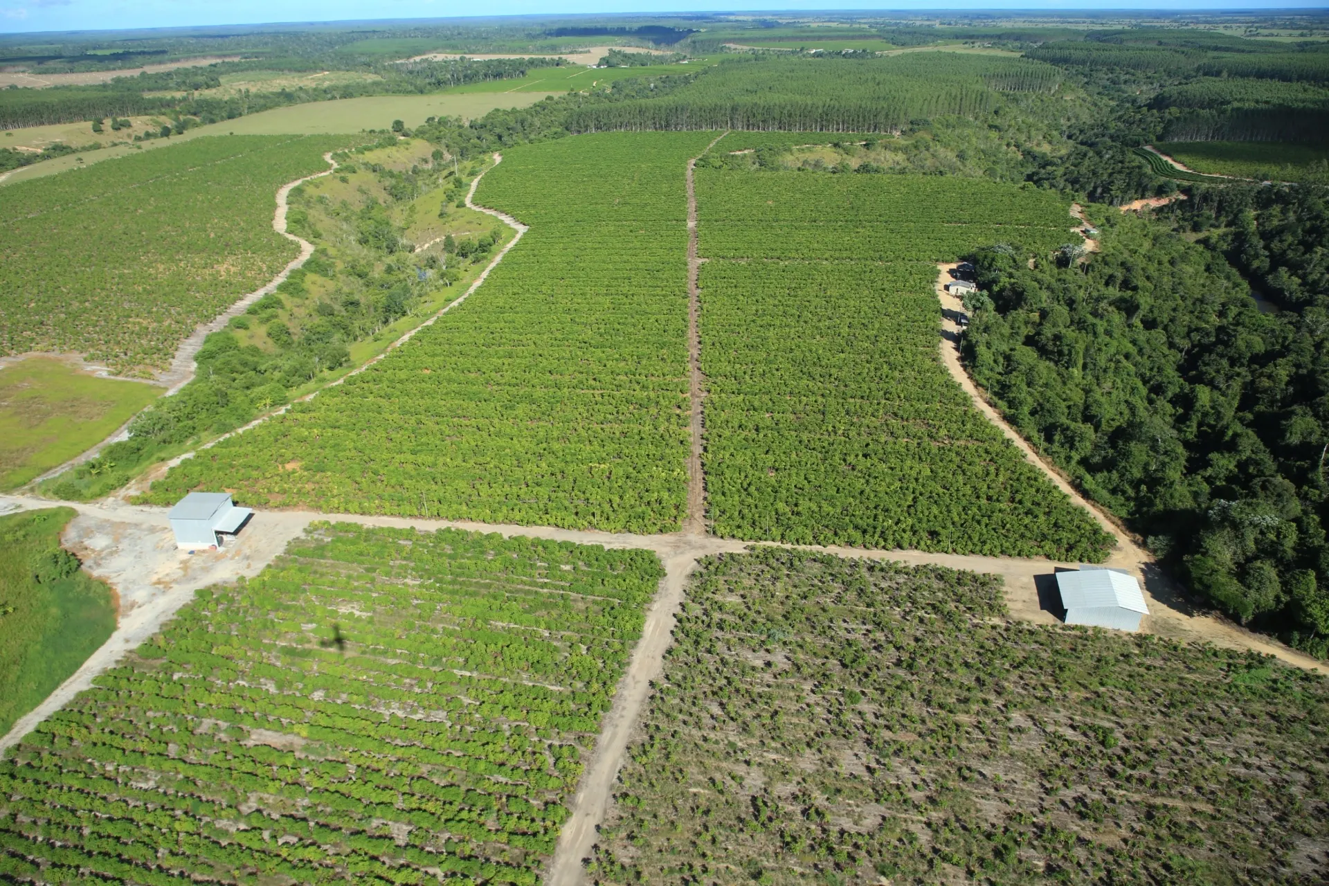 Farm for sale of 642 acres in Itabela, BA, Brazil