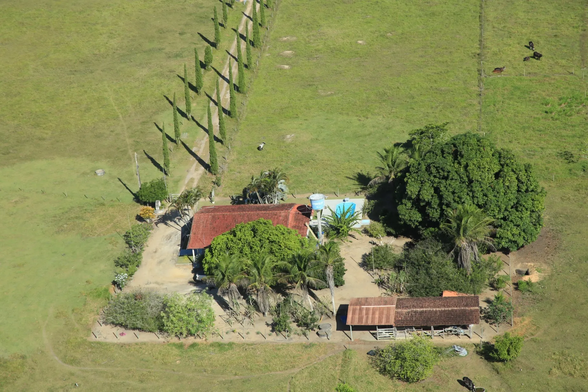 Farm for sale of 642 acres in Itabela, BA, Brazil